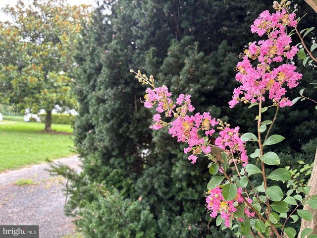 6525 NOMINI HALL ROAD, Hague, VA 22469