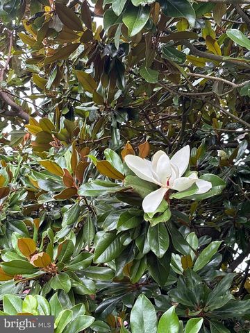 6525 NOMINI HALL ROAD, Hague, VA 22469