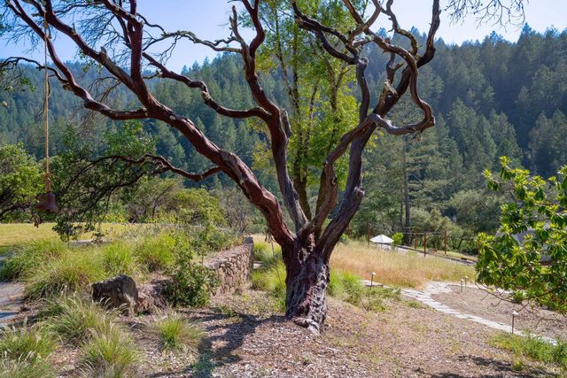 5270 Dry Creek Rd, Napa, CA 94558