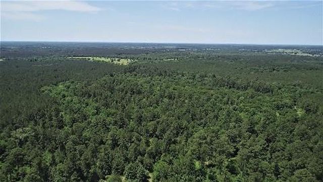 9490 S State Highway 19, Lovelady, TX 75851