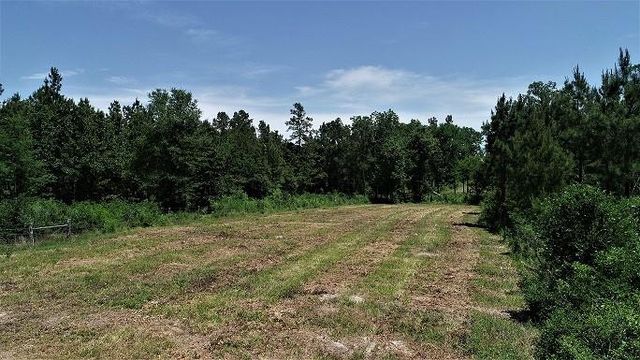9490 S State Highway 19, Lovelady, TX 75851