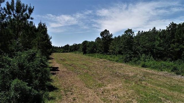 9490 S State Highway 19, Lovelady, TX 75851