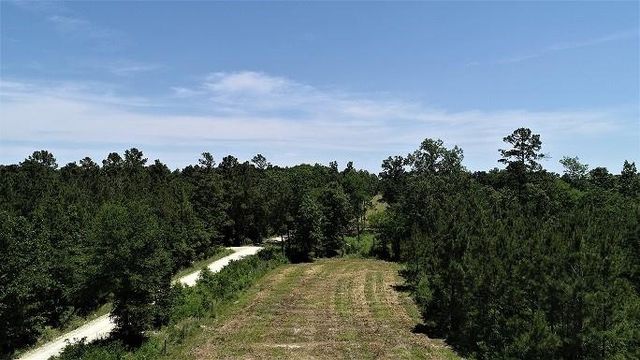 9490 S State Highway 19, Lovelady, TX 75851