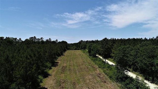 9490 S State Highway 19, Lovelady, TX 75851