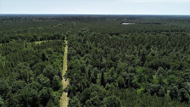 9490 S State Highway 19, Lovelady, TX 75851
