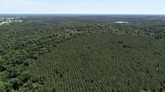 9490 S State Highway 19, Lovelady, TX 75851
