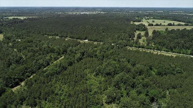 9490 S State Highway 19, Lovelady, TX 75851