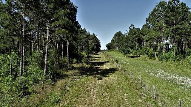 9490 S State Highway 19, Lovelady, TX 75851