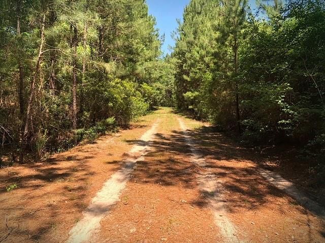 9490 S State Highway 19, Lovelady, TX 75851