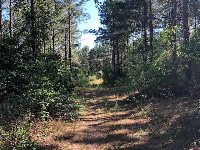 9490 S State Highway 19, Lovelady, TX 75851