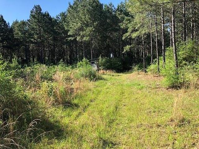 9490 S State Highway 19, Lovelady, TX 75851