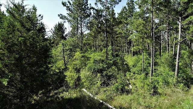 9490 S State Highway 19, Lovelady, TX 75851