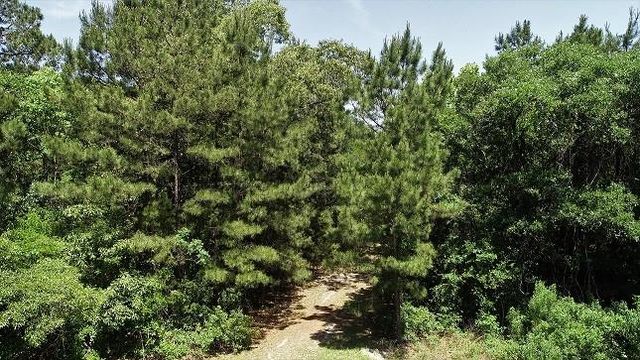 9490 S State Highway 19, Lovelady, TX 75851