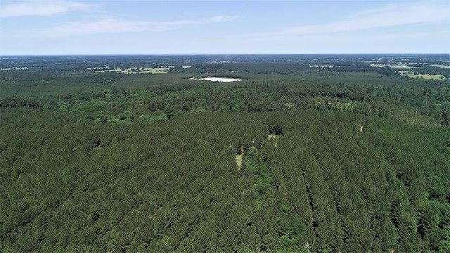 9490 S State Highway 19, Lovelady, TX 75851