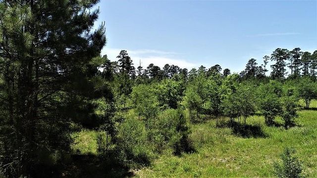 9490 S State Highway 19, Lovelady, TX 75851
