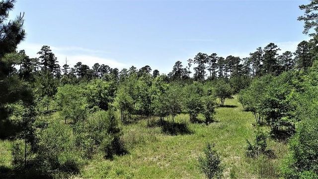 9490 S State Highway 19, Lovelady, TX 75851
