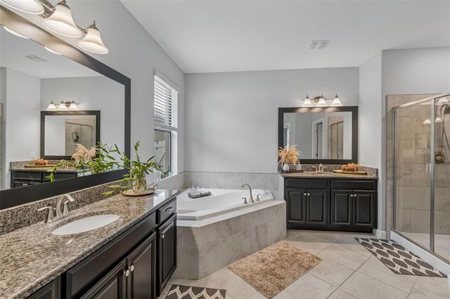 11002 LITTLE BLUE HERON DRIVE, Riverview, FL 33579