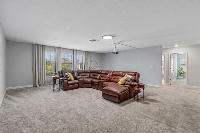 11002 LITTLE BLUE HERON DRIVE, Riverview, FL 33579