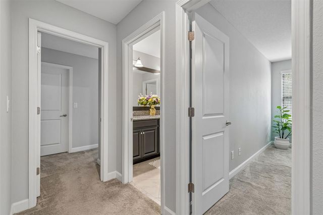 11002 LITTLE BLUE HERON DRIVE, Riverview, FL 33579