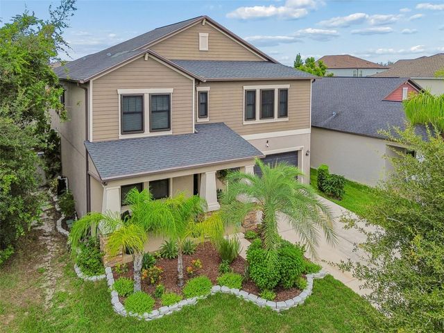 11002 LITTLE BLUE HERON DRIVE, Riverview, FL 33579