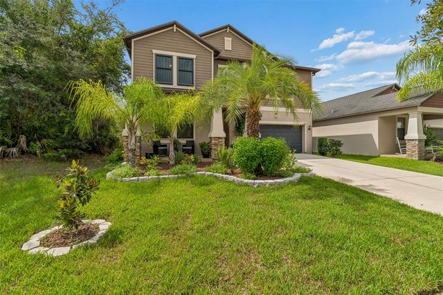 11002 LITTLE BLUE HERON DRIVE, Riverview, FL 33579