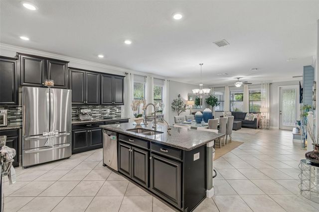 11002 LITTLE BLUE HERON DRIVE, Riverview, FL 33579