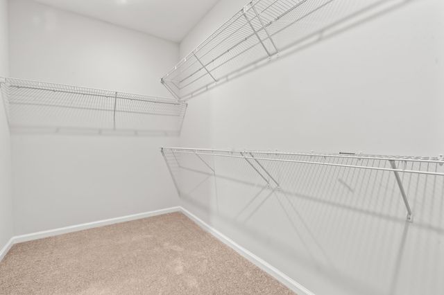 3313 Little Bay Dr., Conway, SC 29526