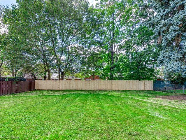 1064 Ray Street, Akron, OH 44306