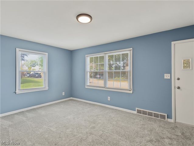 1064 Ray Street, Akron, OH 44306