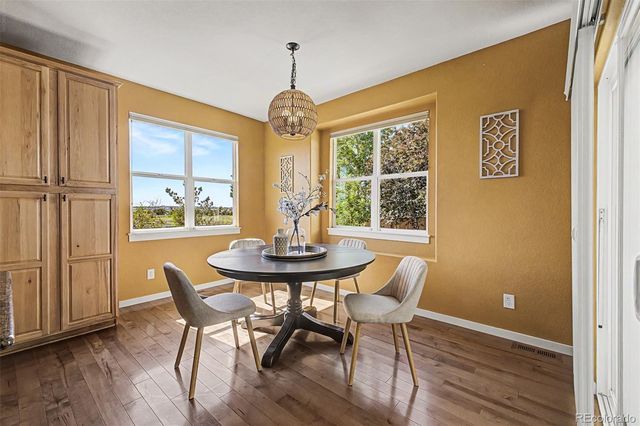 2505 E 141st Place, Brighton, CO 80602