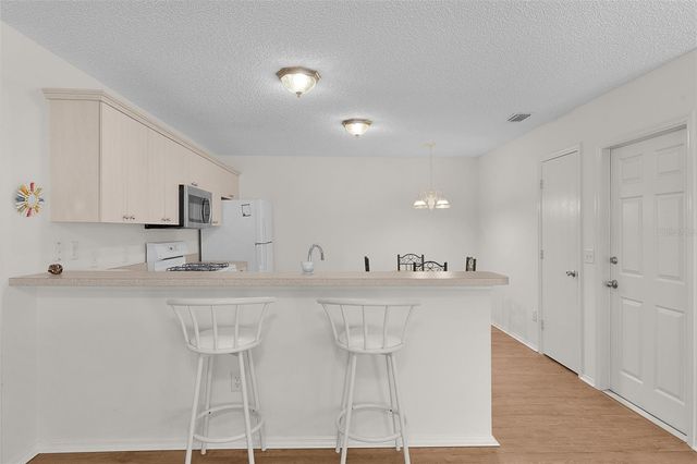 8201 SE 169TH PALOWNIA LOOP, The Villages, FL 32162