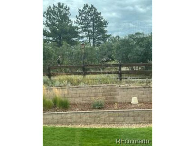 3368 Shire Cir, Castle Rock, CO 80104