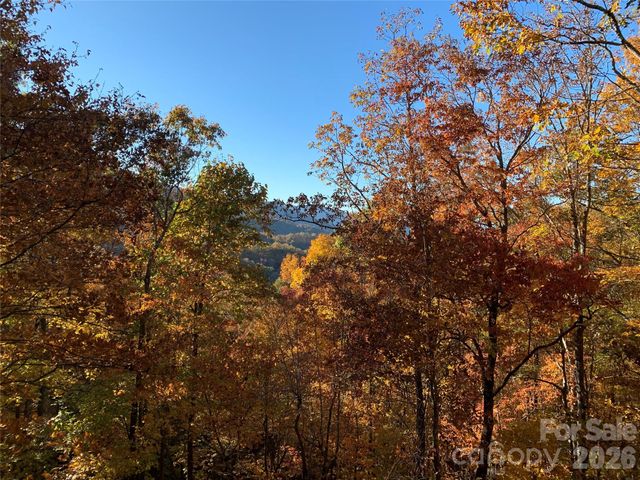 130 Cross Vine Drive 226, Tuckasegee, NC 28783