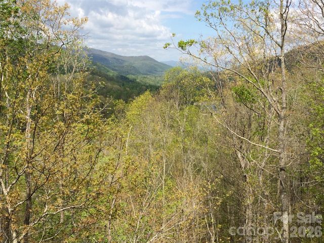 130 Cross Vine Drive 226, Tuckasegee, NC 28783