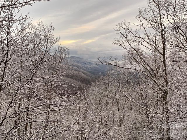 130 Cross Vine Drive 226, Tuckasegee, NC 28783