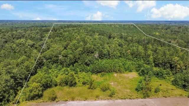 TBD County Road 4090, Woodville, TX 75979