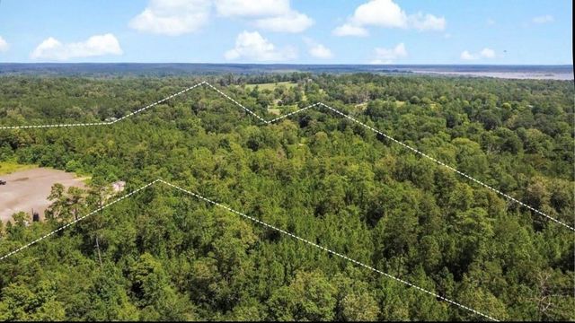 TBD County Road 4090, Woodville, TX 75979