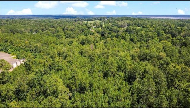 TBD County Road 4090, Woodville, TX 75979