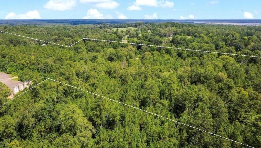 TBD County Road 4090, Woodville, TX 75979