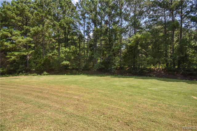 6127 Hibiscus, Northport, AL 35473