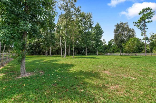 113 Whelan Lane, New Waverly, TX 77358