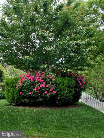 4400 ELM ST, Chevy Chase, MD 20815