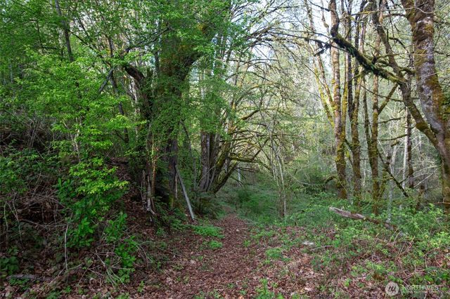 13101 Olalla Valley Road SE, Olalla, WA 98359