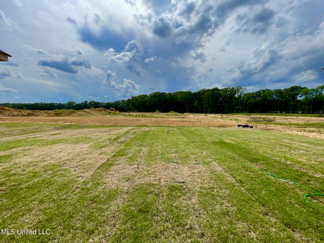 425 Aurora Circle, Canton, MS 39046