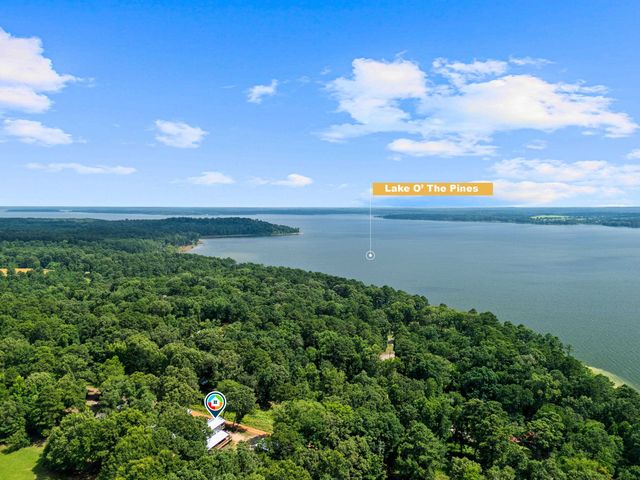 189 Dale Ln, Avinger, TX 75630