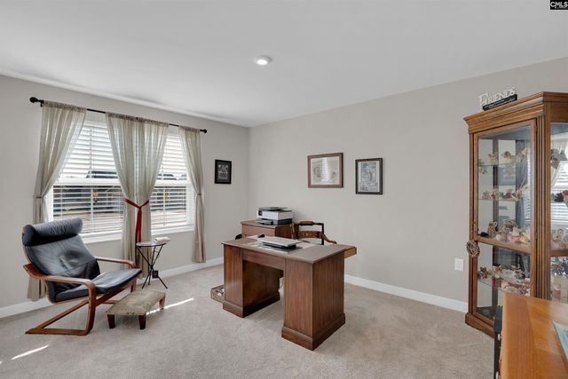 320 Switch Grass Court, Elgin, SC 29045