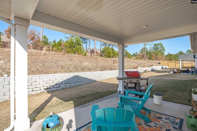 320 Switch Grass Court, Elgin, SC 29045