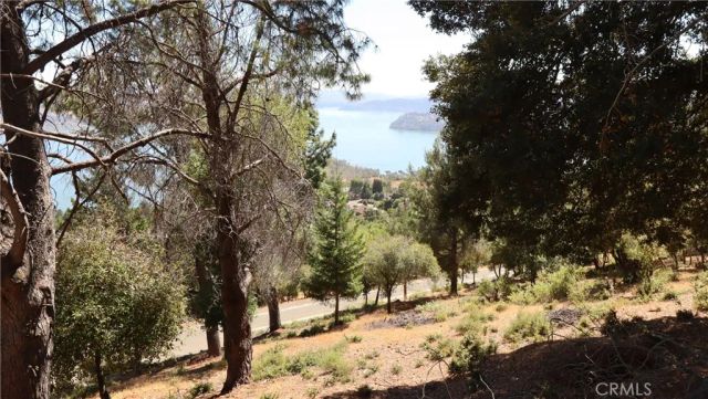 8151 Broadview, Kelseyville, CA 95451