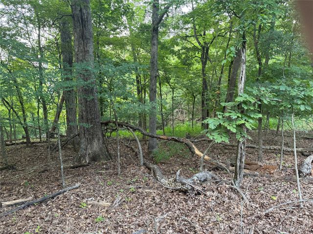 101 Flint Ridge Drive, Kansas, OK 74347