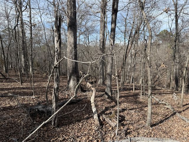 101 Flint Ridge Drive, Kansas, OK 74347